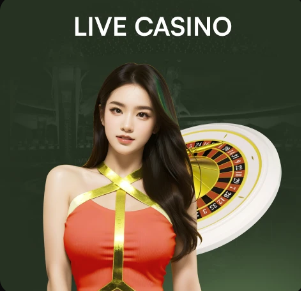 2026年4月19日法甲第30轮里尔vs洛格罗涅斯直播【24直播网】